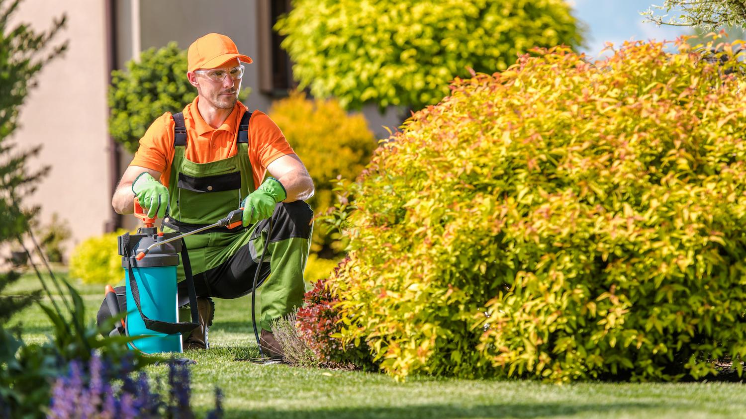 landscaping services